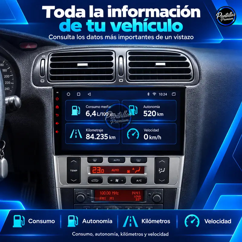 Peugeot 406 información del vehículo