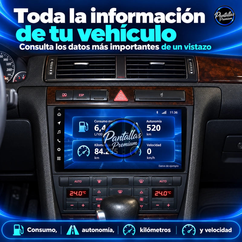 Audi A6 C5 — informacion vehiculo