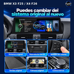 Cambio entre sistema original y nuevo