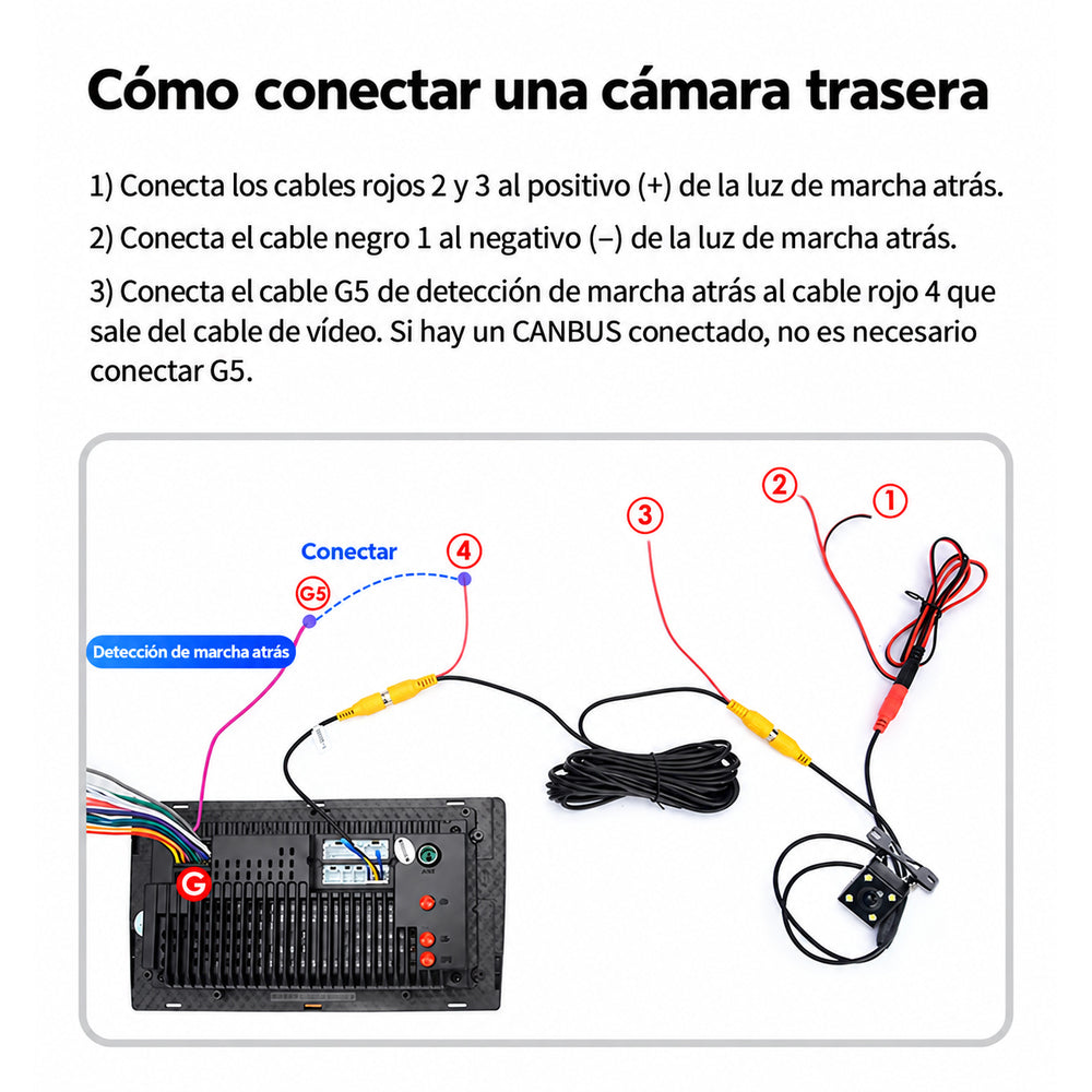 conexion camara